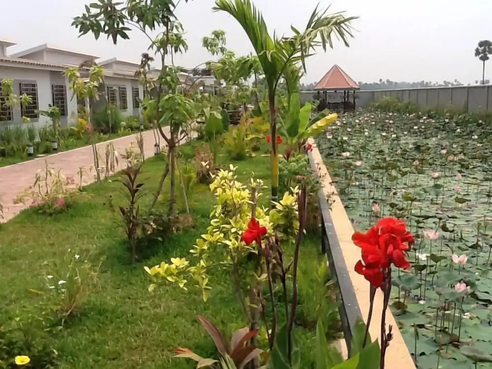 Ry's Lotus Resort d'Angkor - Chambres