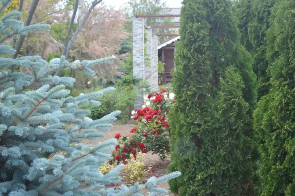 Hotel photo 11