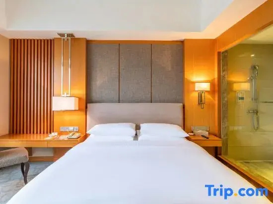 The Grand Plaza Hotel - Chambres