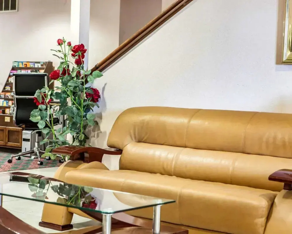 Lobby & Reception