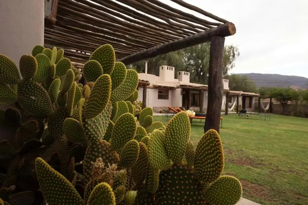 Standard Double room with mountain view (full double bed)
