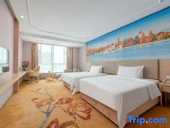 Standard Double room with city view (twin beds)
