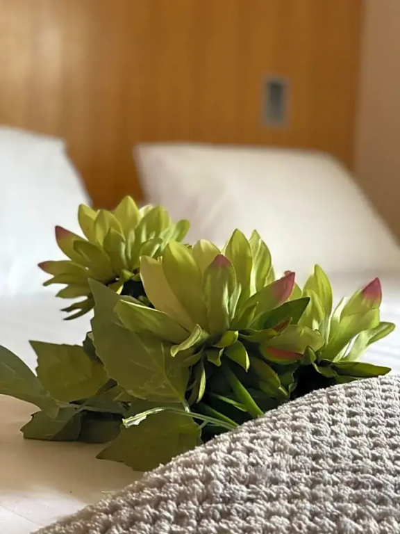 Rooms at 1703 - Chambres