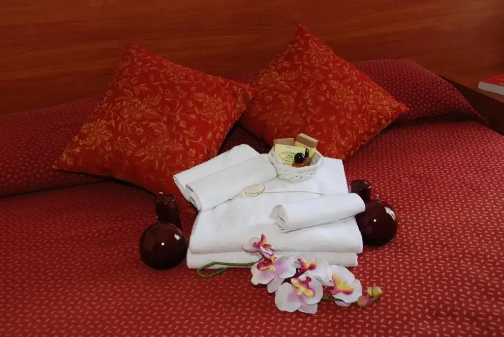 Standard Double room (twin beds)