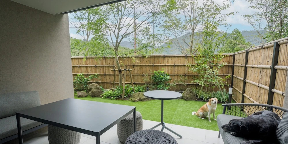 Rakuten STAY TERRACE Hakone Kowakudani 사진 31