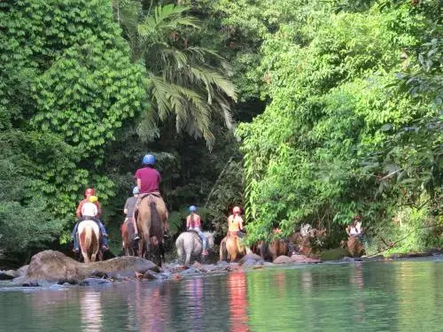 Hotel Mavi - фото 8