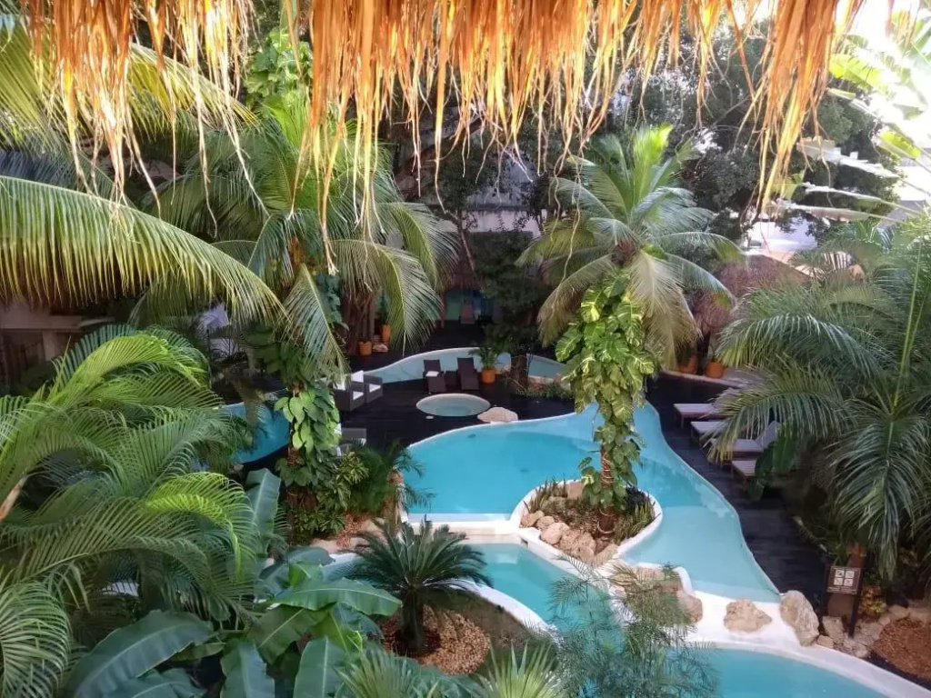 La Tortuga Hotel & Spa - Adults Only - Chambres