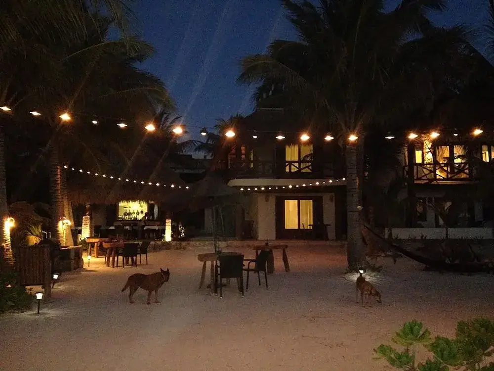 Hotel photo 25