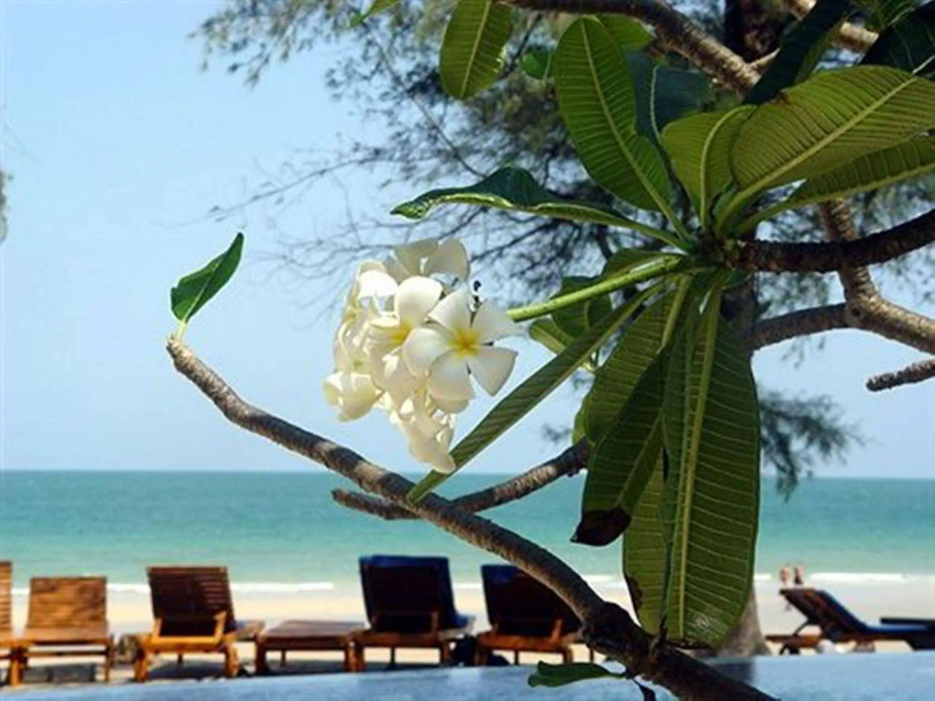 Baan Talay Dao - Général