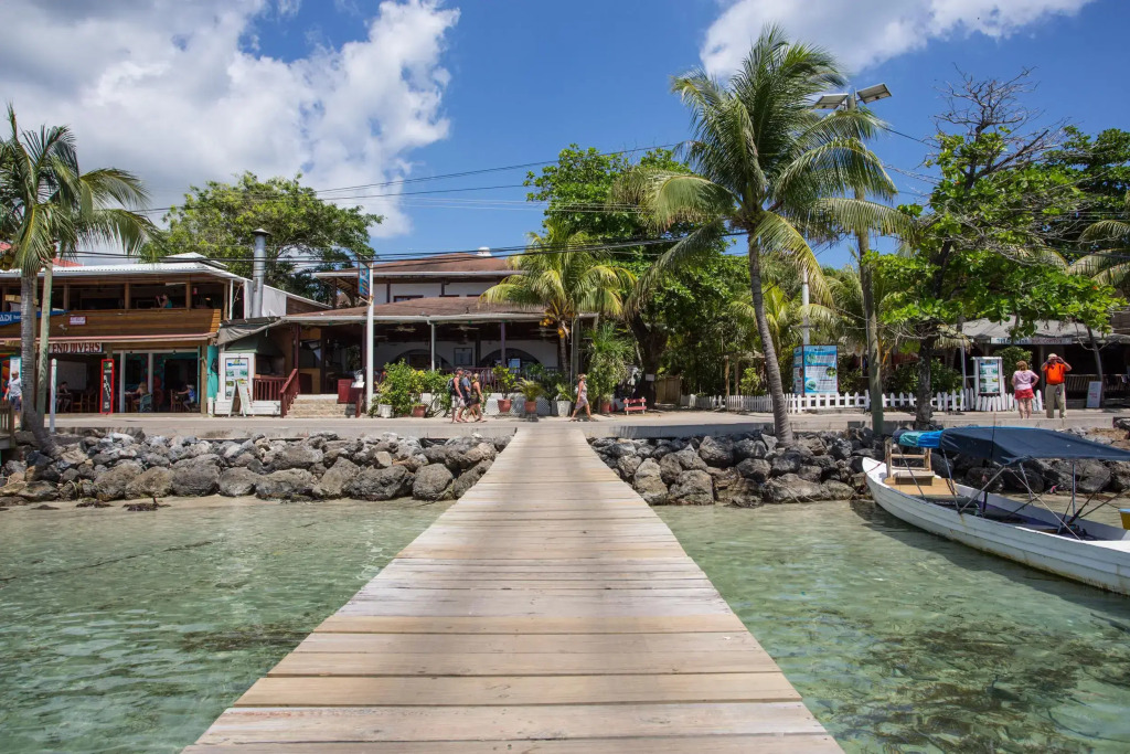 Splash Inn Dive Resort & Villas - фото 12