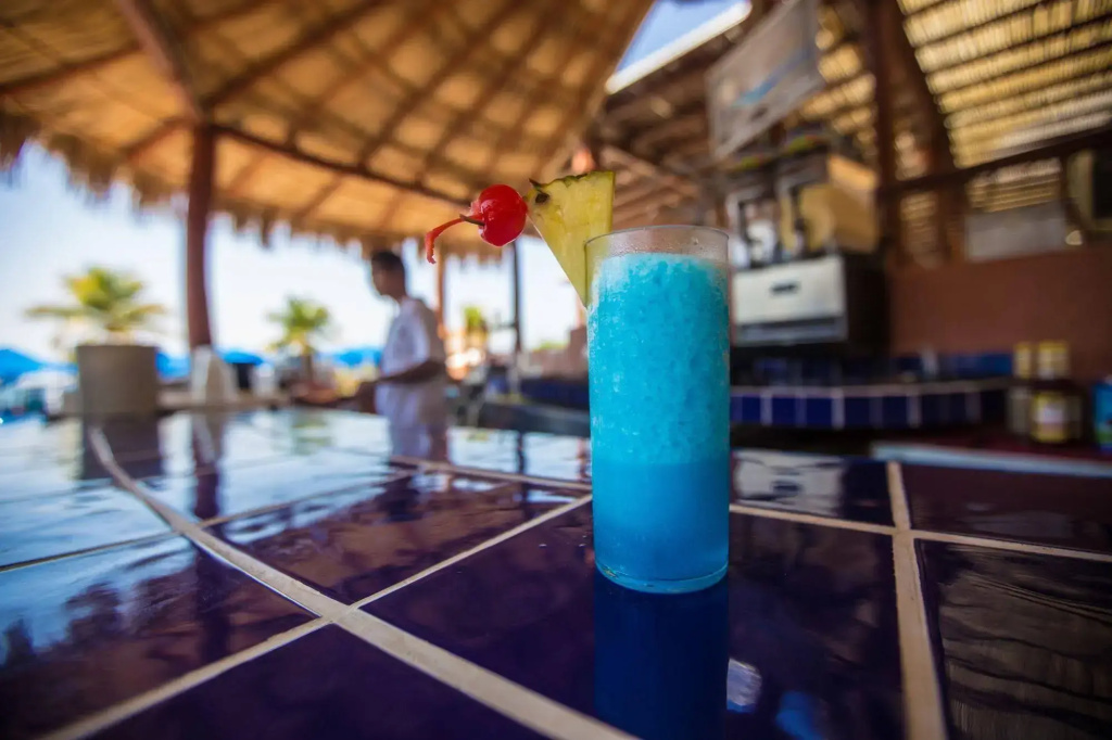 Hotel Azul Ixtapa All Inclusive Beach Resort Convention Center - Général