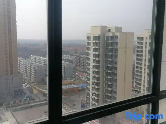 Balcony & Terrace
