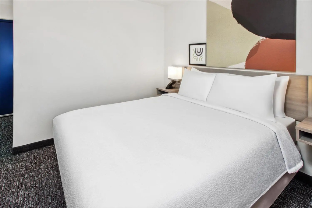 Spark by Hilton Rochester South - Chambres