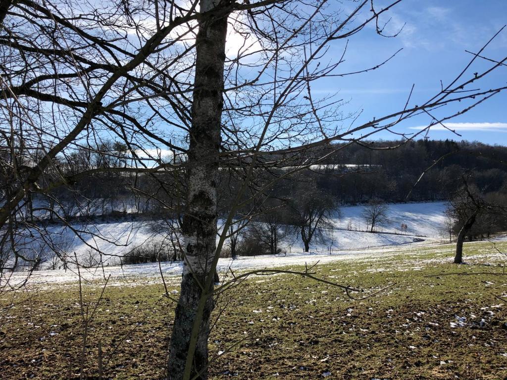 Image 14