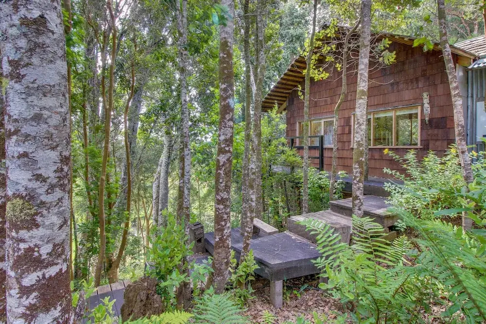 Cabana Del Arbol En Puerto Varas