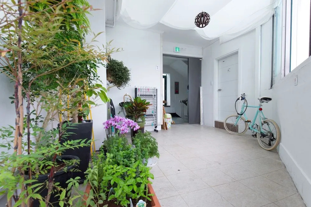Lian Guesthouse - Hostel