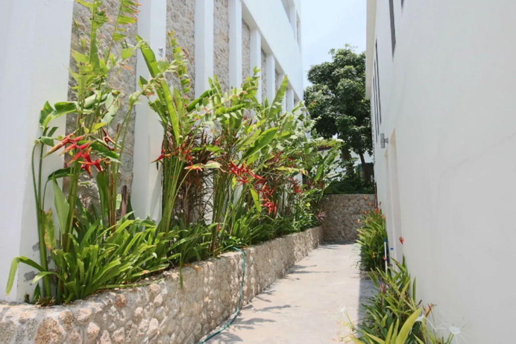 Tropical Sea View Residence - Général