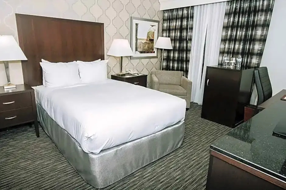 DoubleTree by Hilton Detroit - Dearborn - Chambres