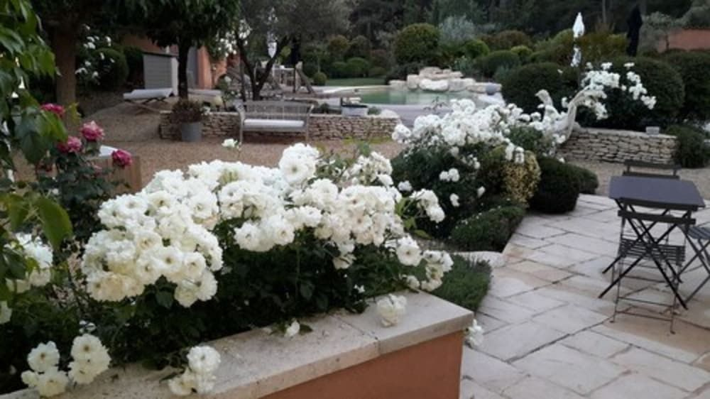 Hotel photo 27