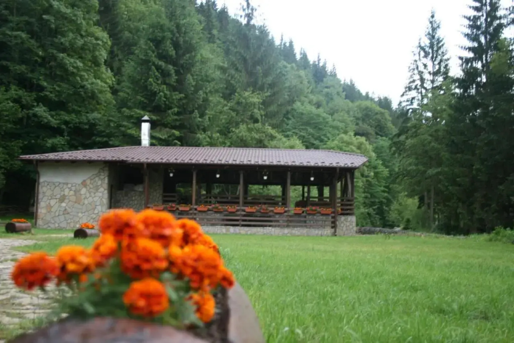 Pensiunea Denisa