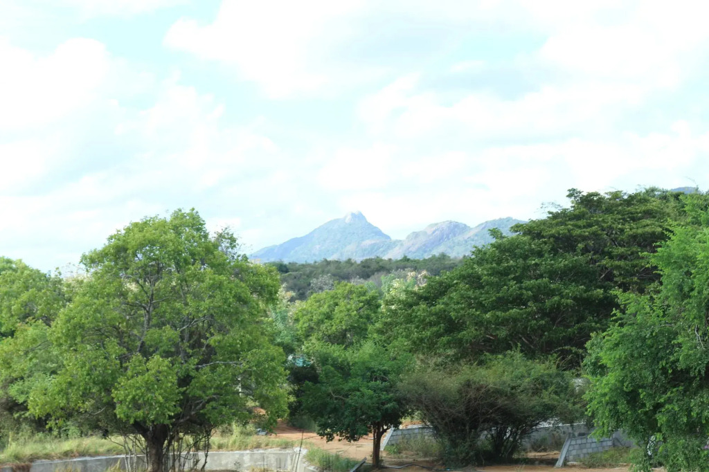 Liyya Water Villas - фото 10