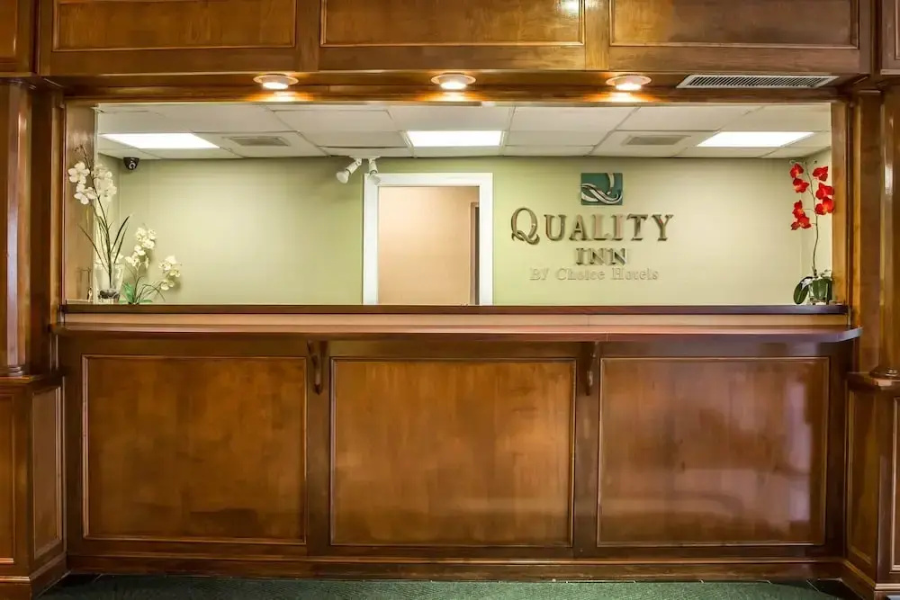 Lobby & Reception