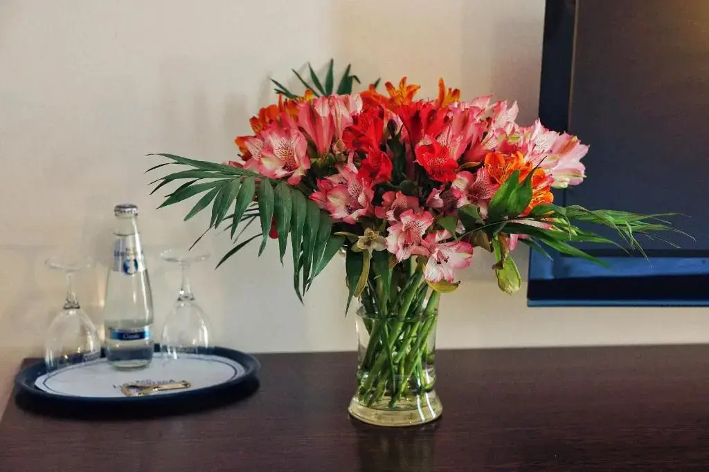 Bergwirtschaft Wilder Mann - Chambres