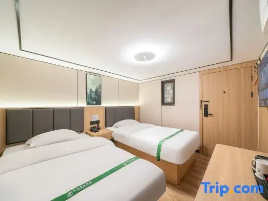 Business Double room (twin beds)
