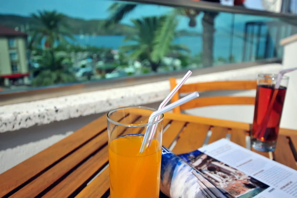 Yeniceri City Hotel - Général