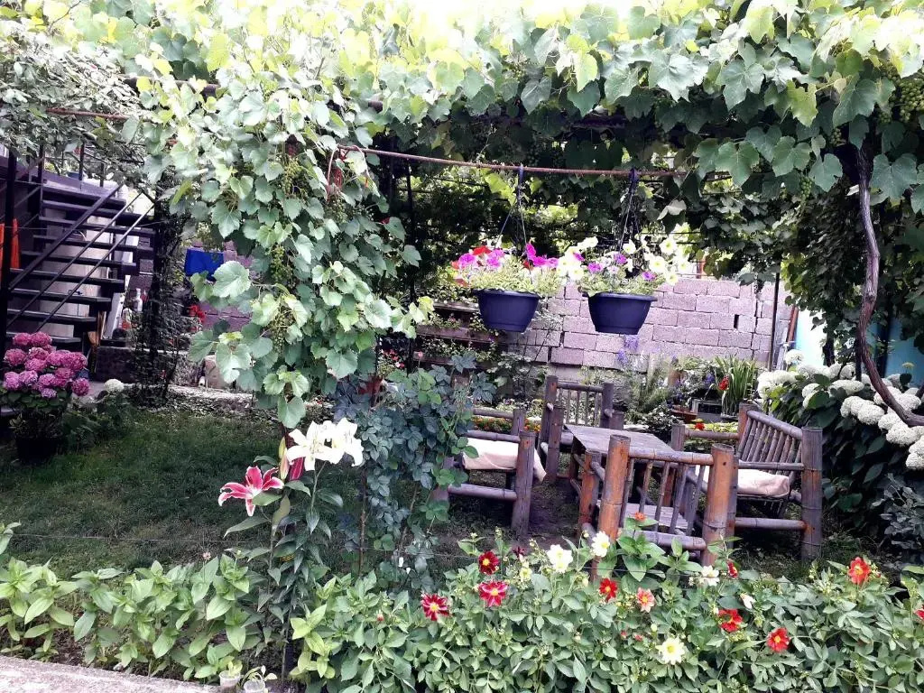 guesthouse metreveli - Chambres