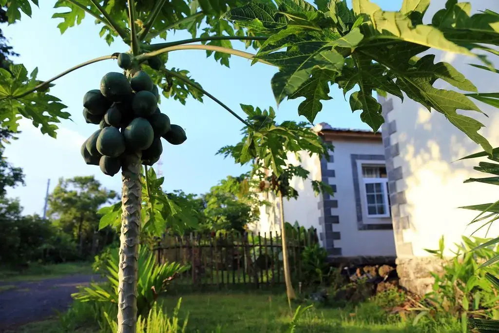 Hualizhijia Hostel