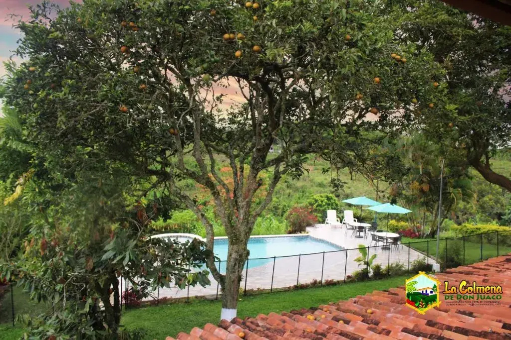 Finca la colmena de don juaco - Chambres