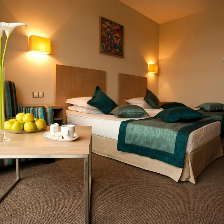Azalia Hotel Balneo & SPA - Général