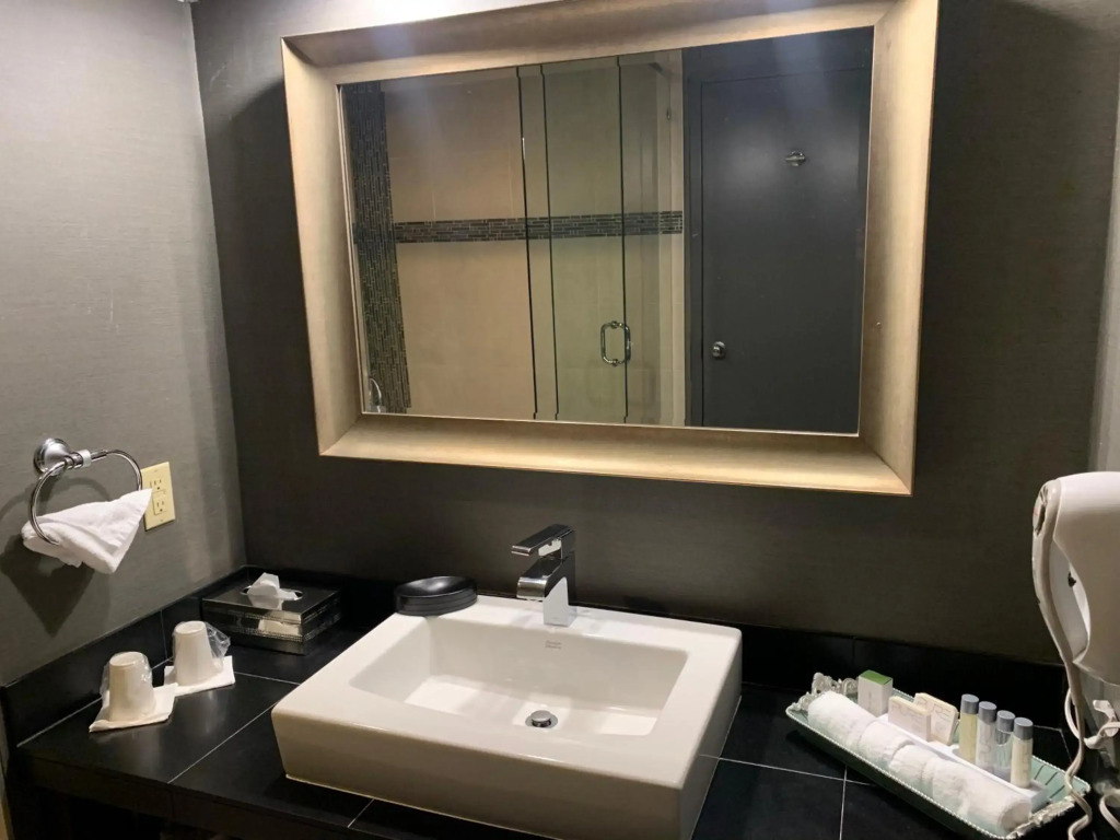 Lonsdale Quay Hotel - фото 10