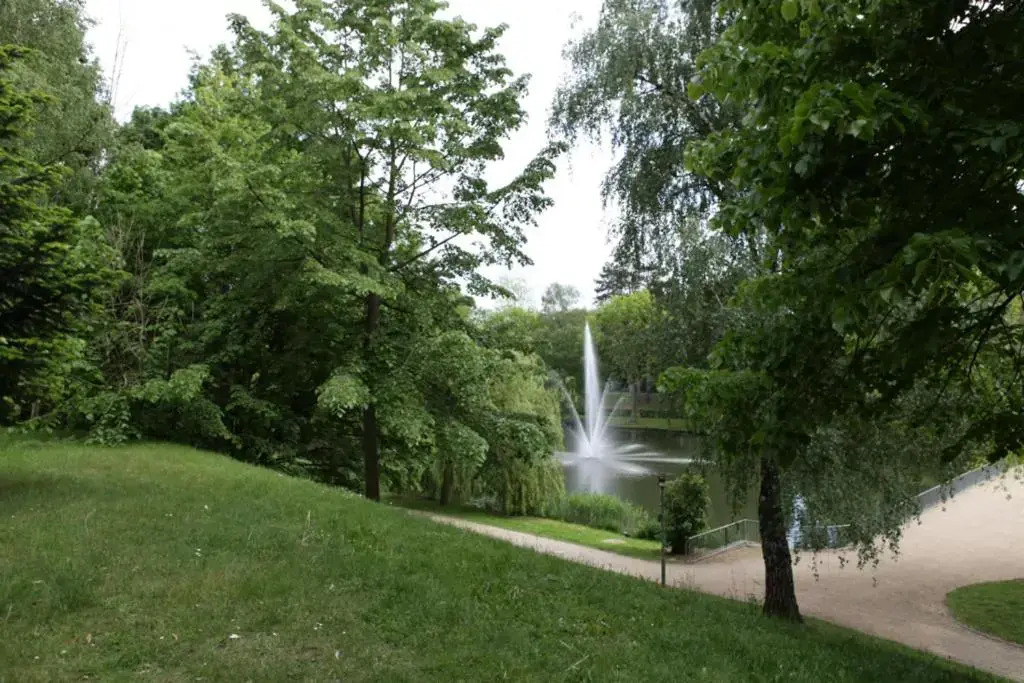 Image 24
