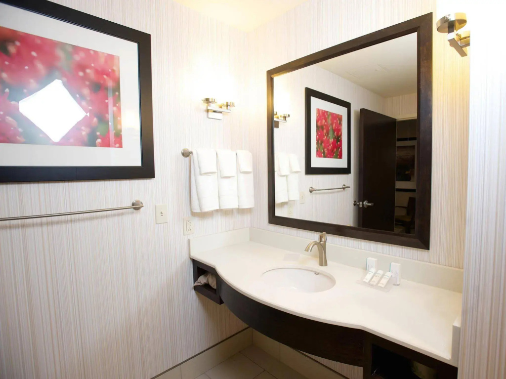 Hilton Garden Inn Buffalo Downtown - Général