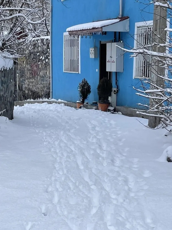 Mavi Ladin Konukevi