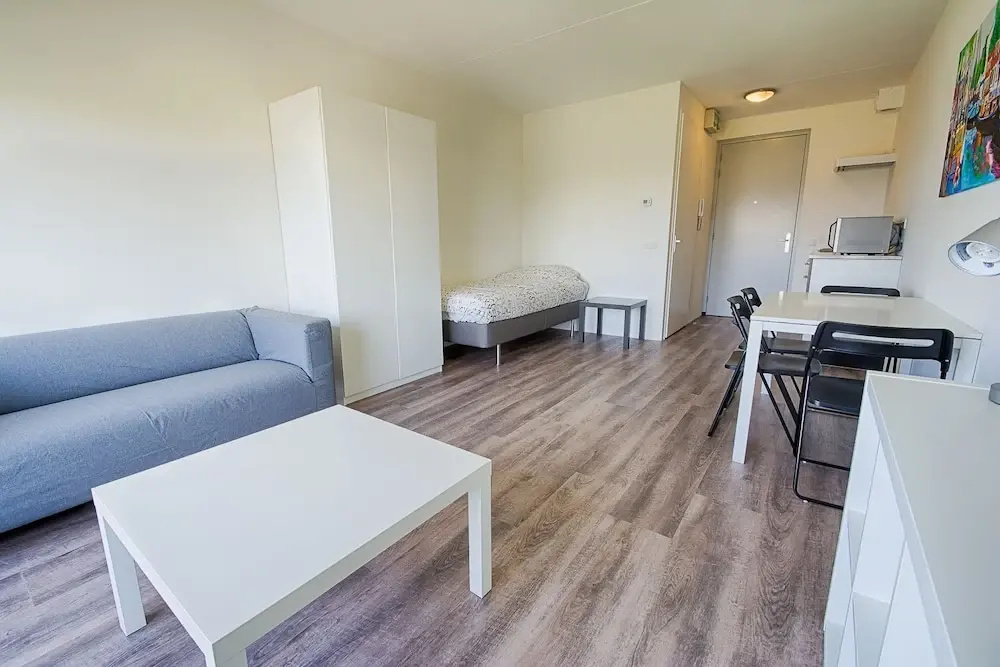 Standard Suite