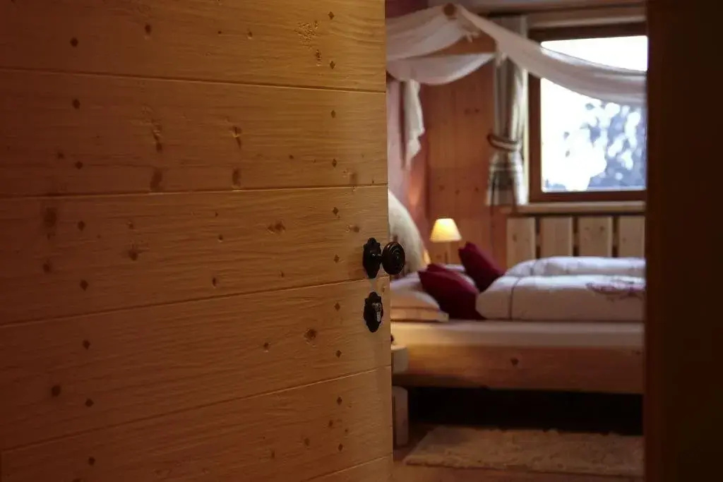 Hotel Piz Seteur - Général