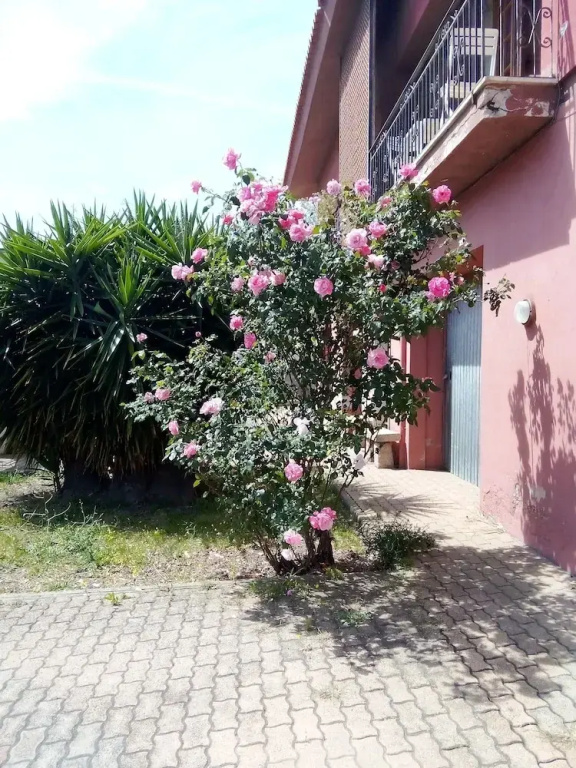Smeralda room's