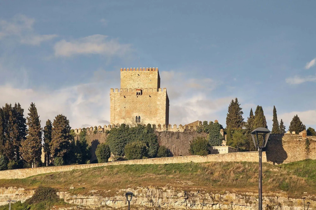 Parador de Ciudad Rodrigo - Général