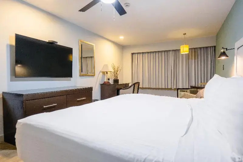 Comfort Suite