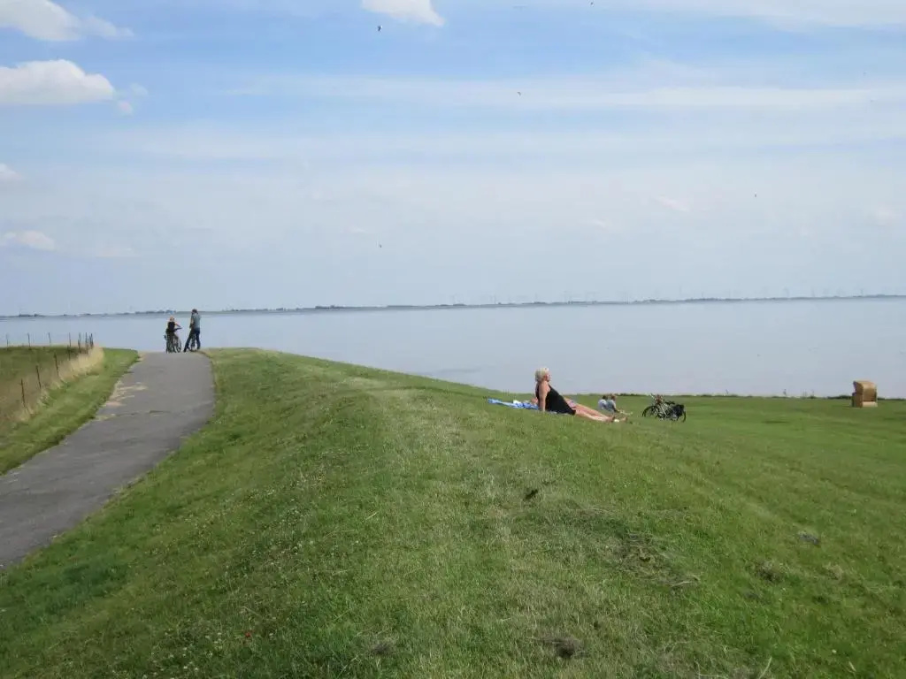 Beach & Waterfront