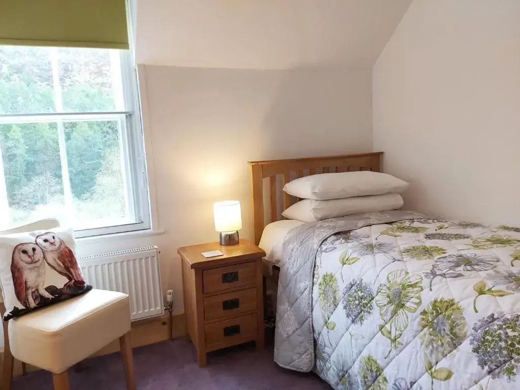 Standard Single room with mountain view