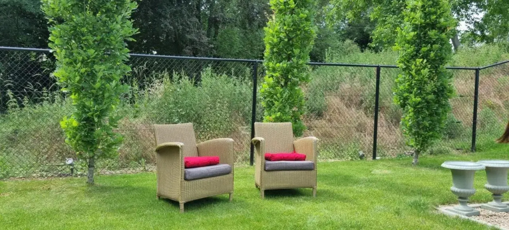 Vakantiewoning Bisonder - фото 18