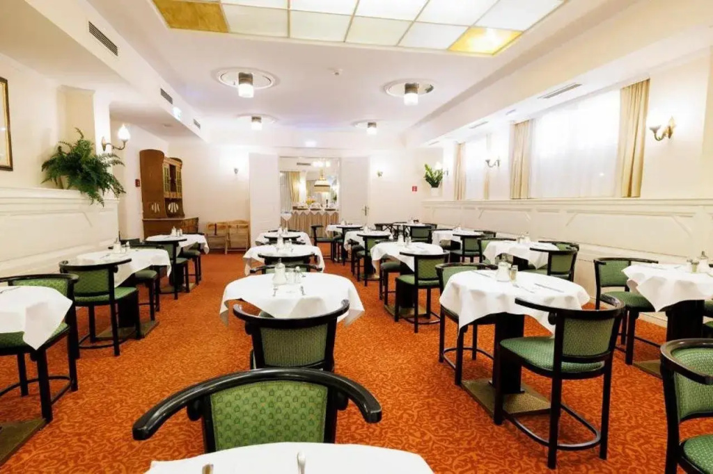 Hotel Johann Strauss - Général