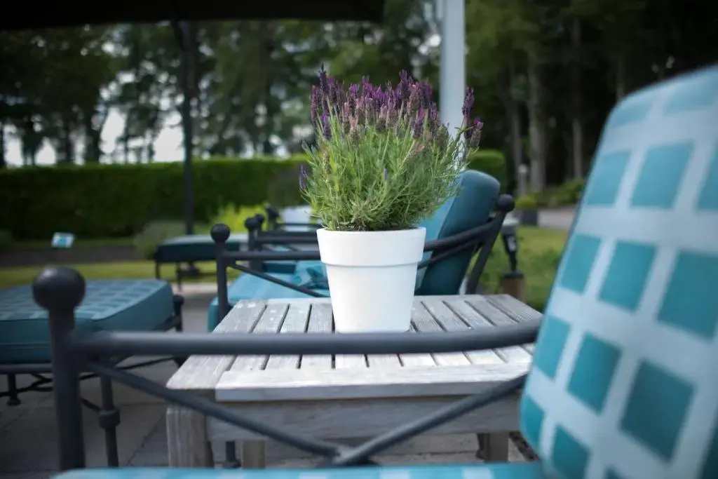 Balcony & Terrace