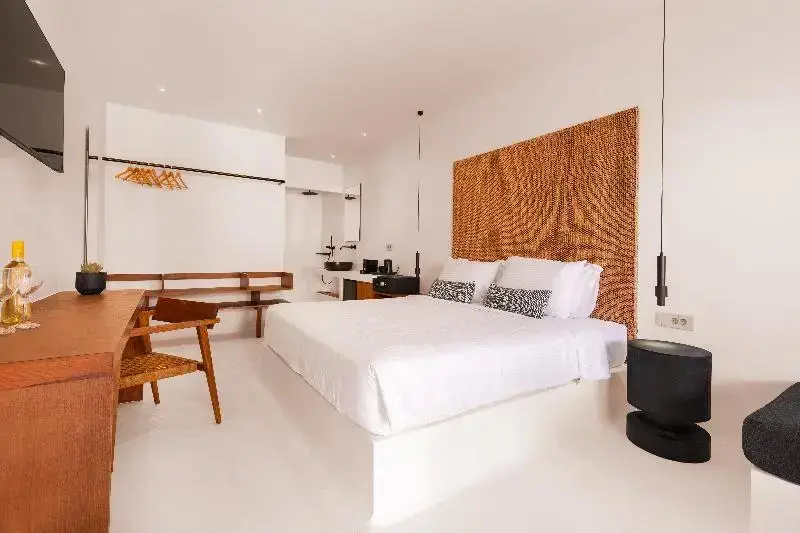 1 Bedroom Premium Suite