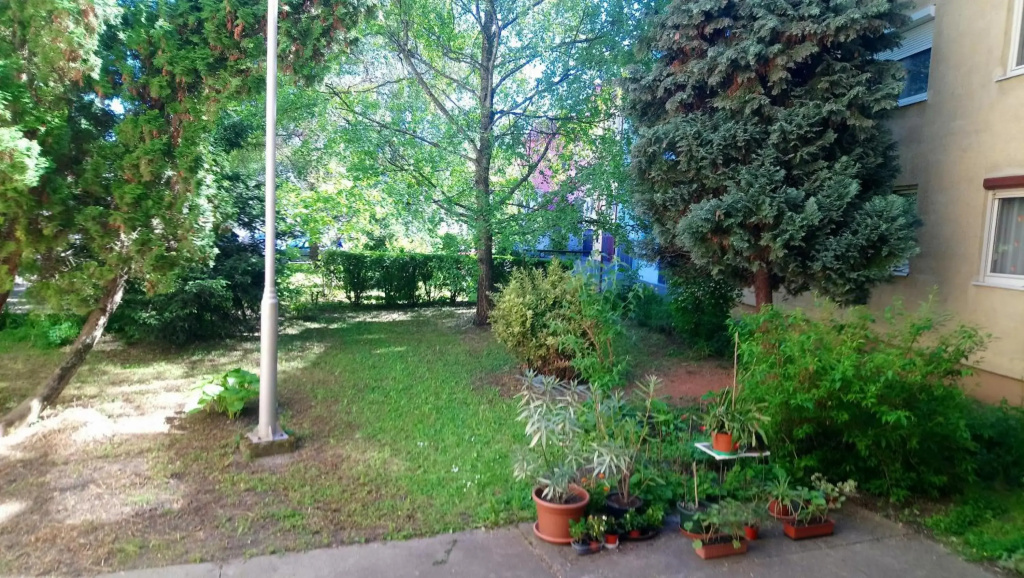 Sziget Apartman