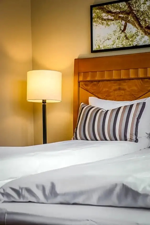 First Hotel Millennium - Chambres